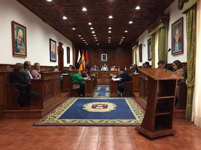 Imagen del Pleno ordinario de este viernes (Foto TA)